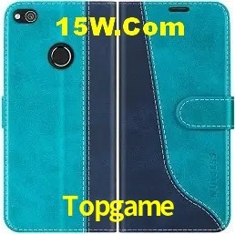 Estatísticas do Jogo Topgame